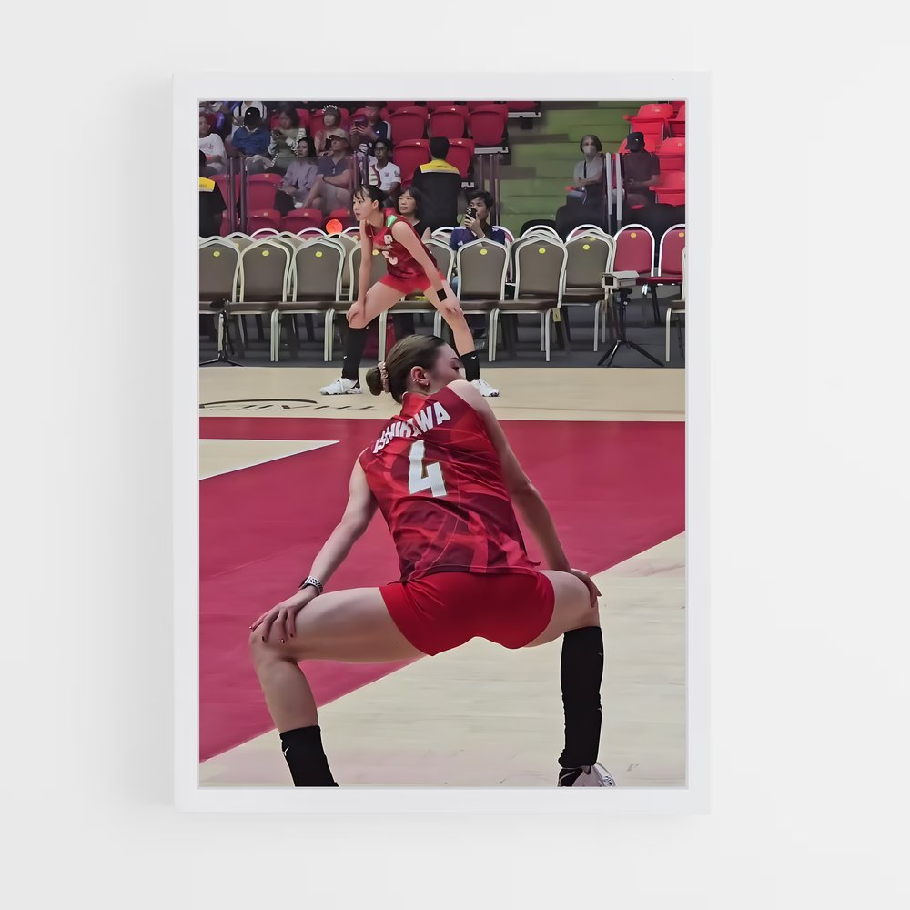 Poster Volleyball world (vue 3)